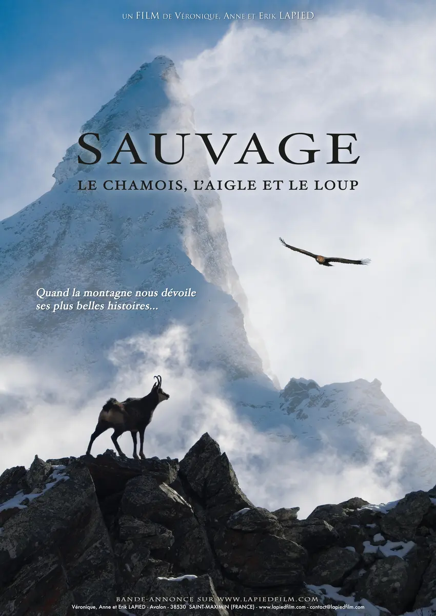 Affiche film - Lapied