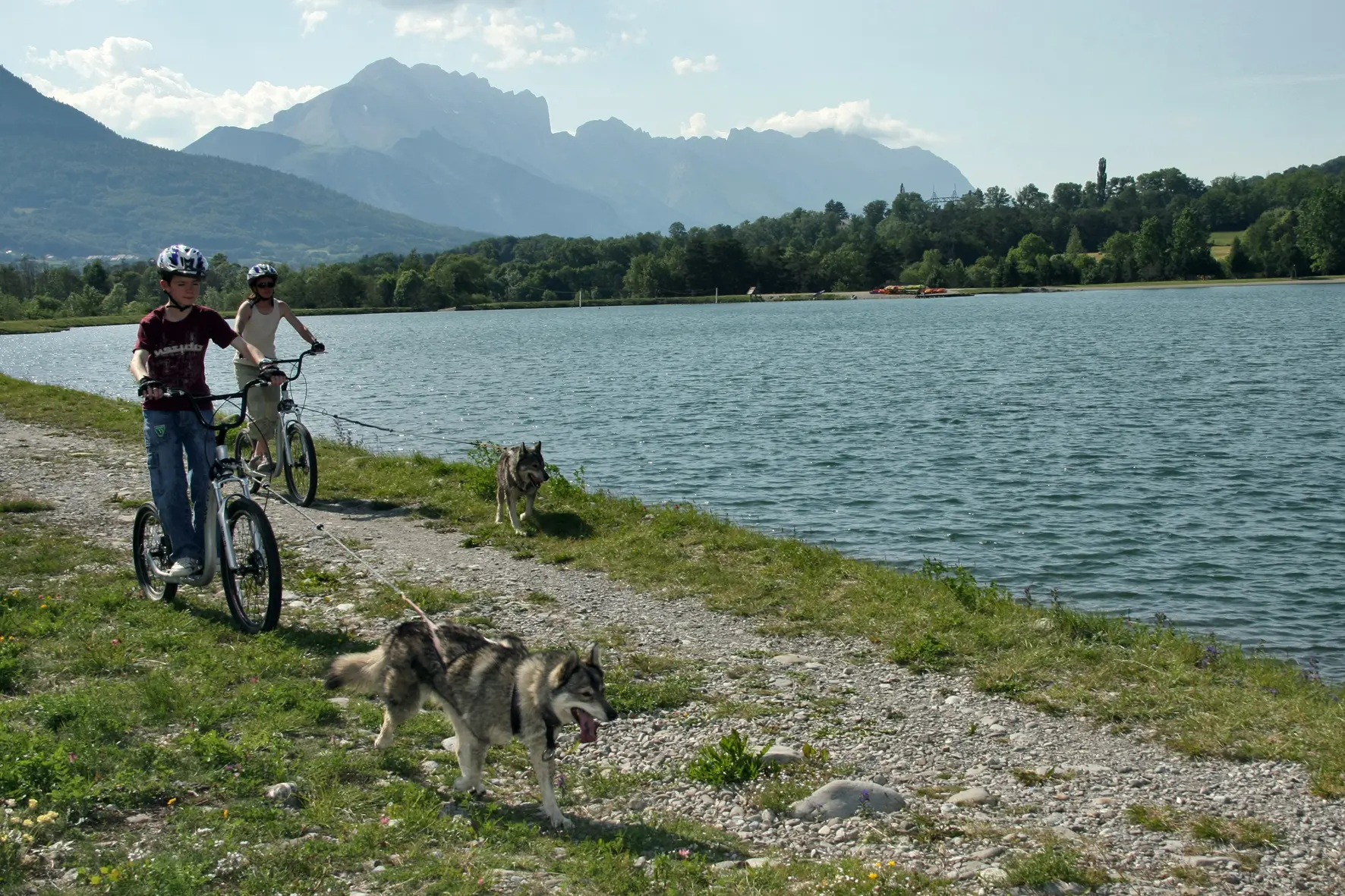 Cani-Trot' - Alpi Traineau