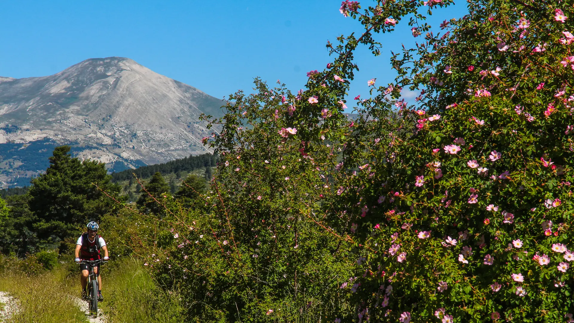 Tronçon 6 de la TransVerdon - Montée de la Montagne de Maurel