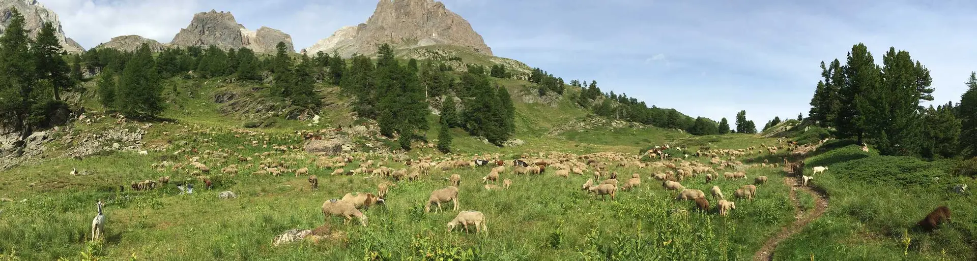 Séjour Découverte de la Montagne à Névache - L'Échaillon