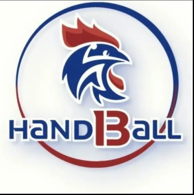 Comité 13 Handball