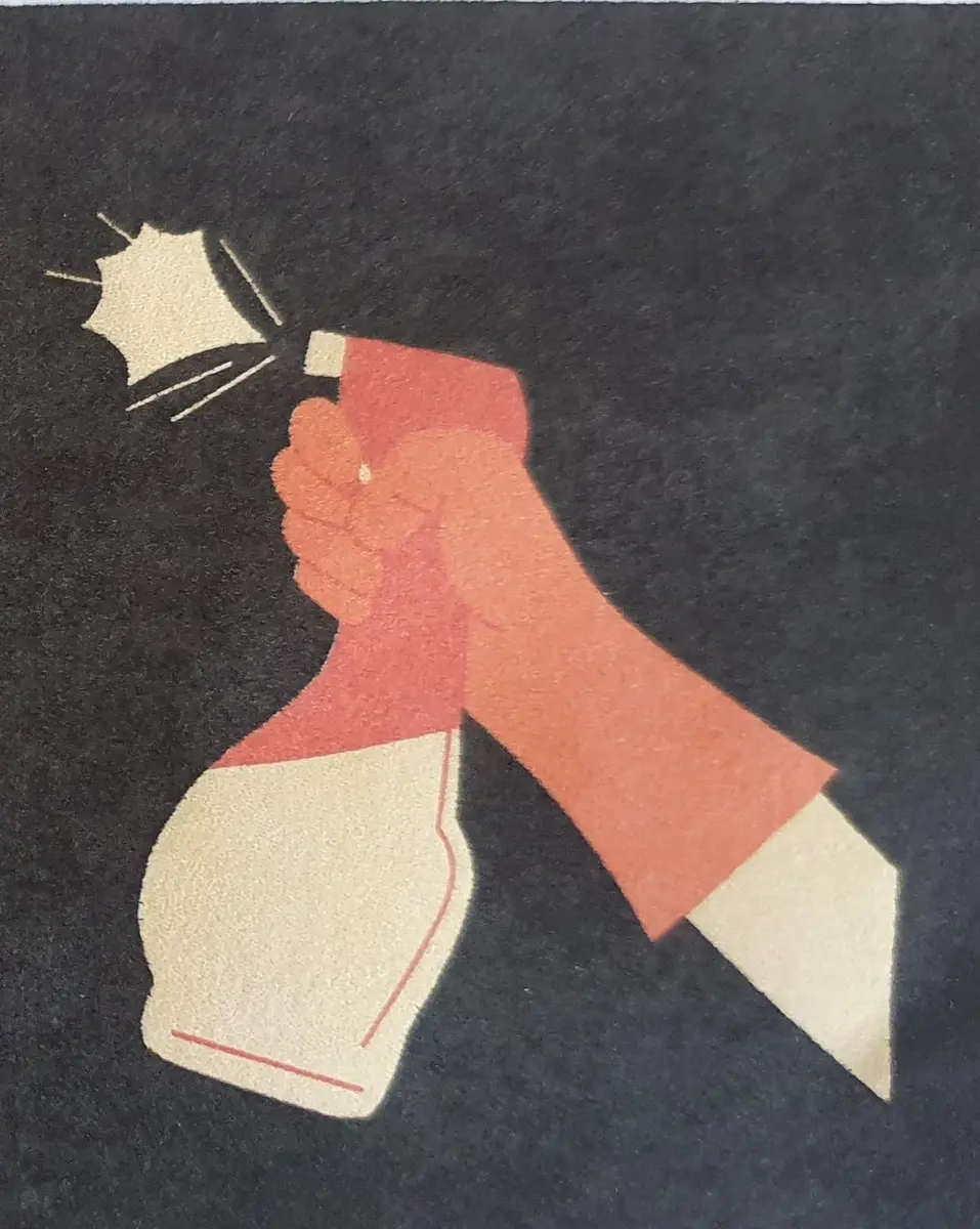 Société de ménage Clo cleaner