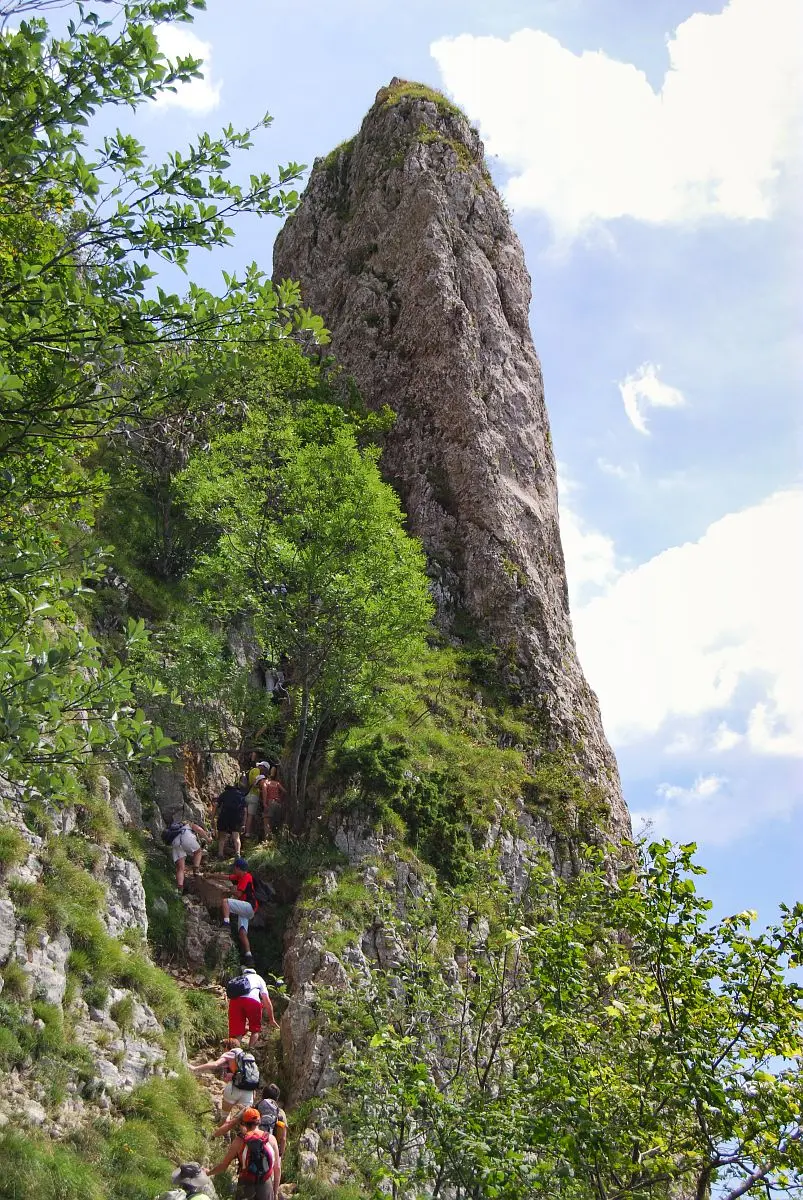 Escalade