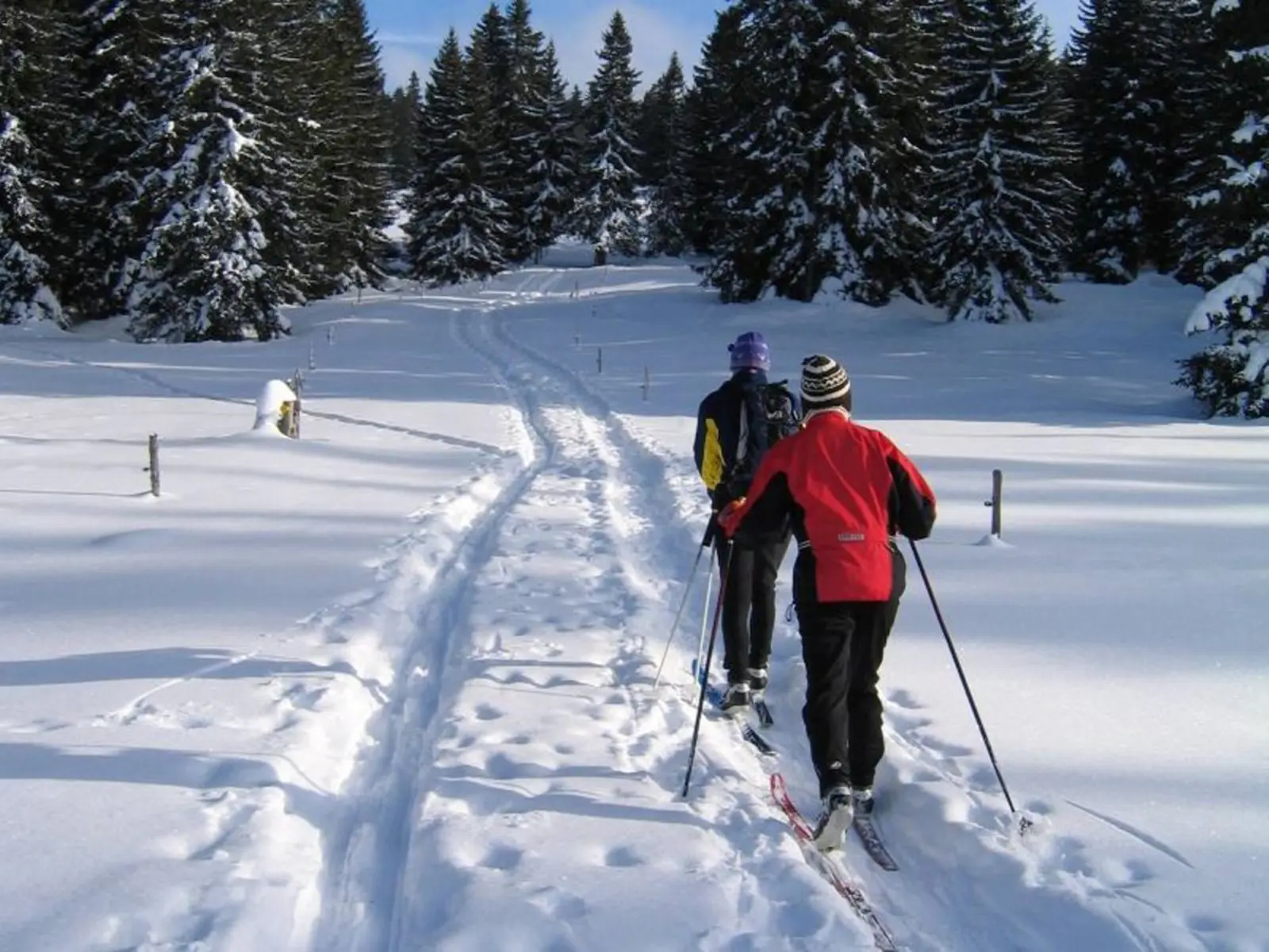 Itinéraire nordique Col du Feu - Foyer des Moises