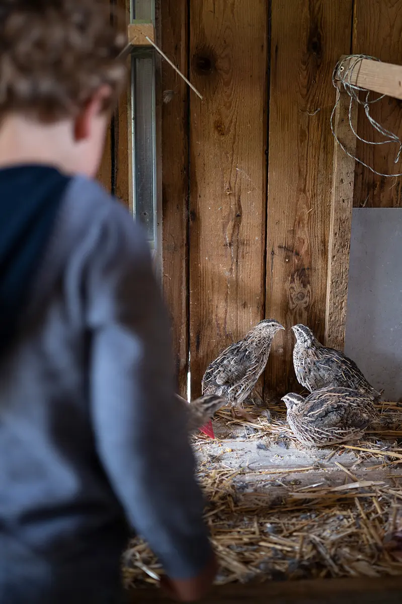 L'Homme est-il un animal comme les autres