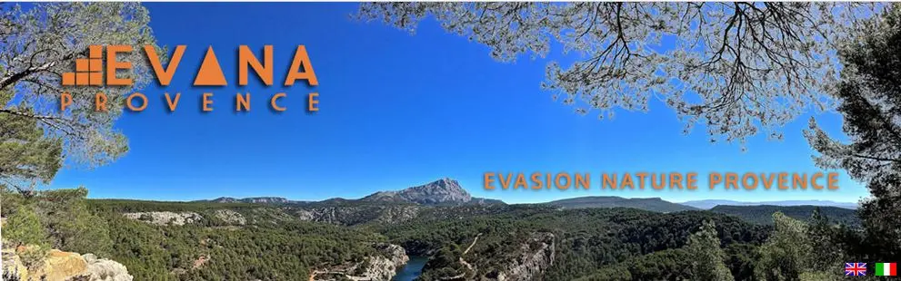 Evana Marseille