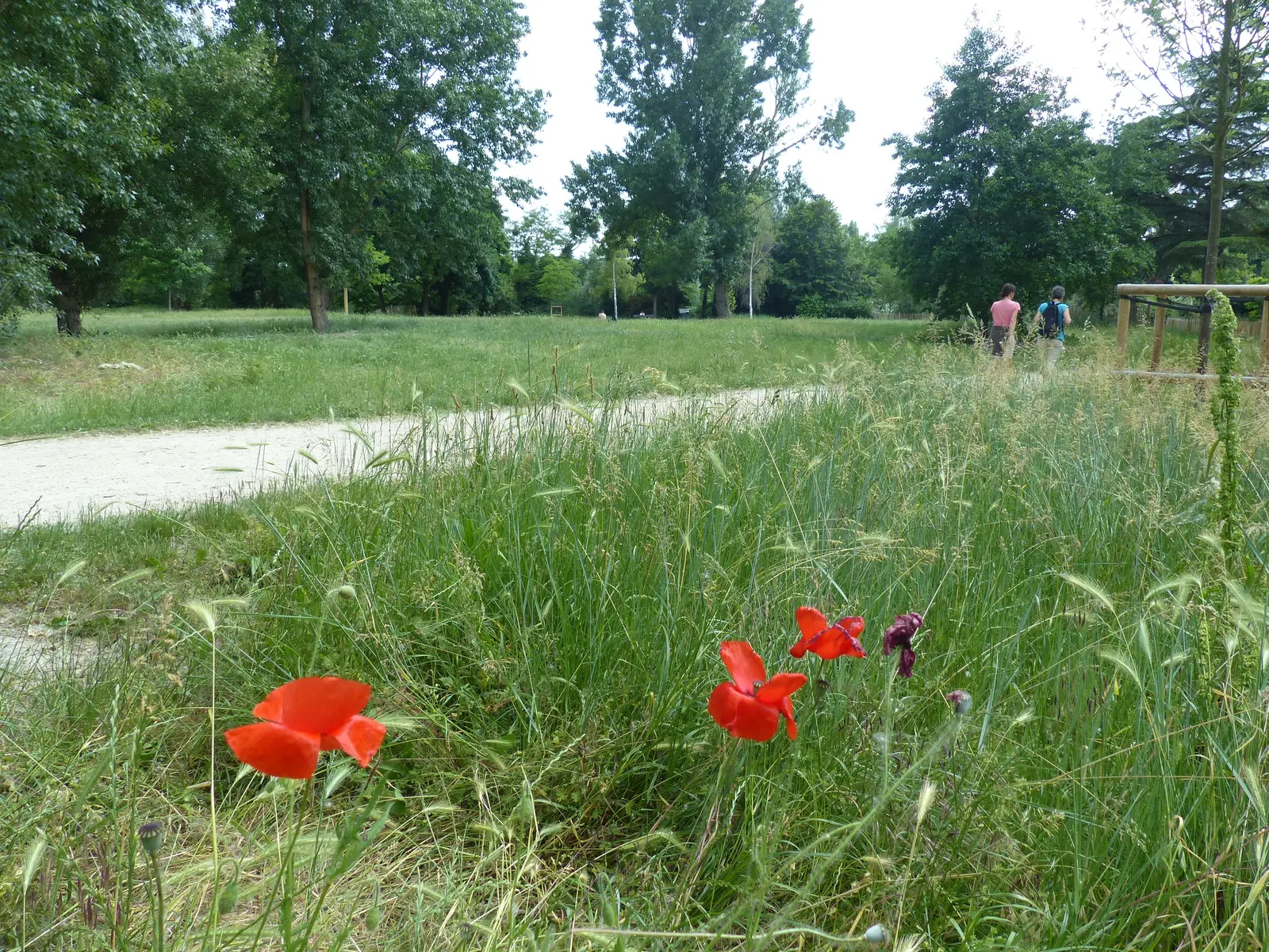 Parc de l'Ile des Impressionnistes à Chatou