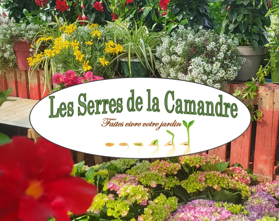 Les Serres de La Camandre_Fayence