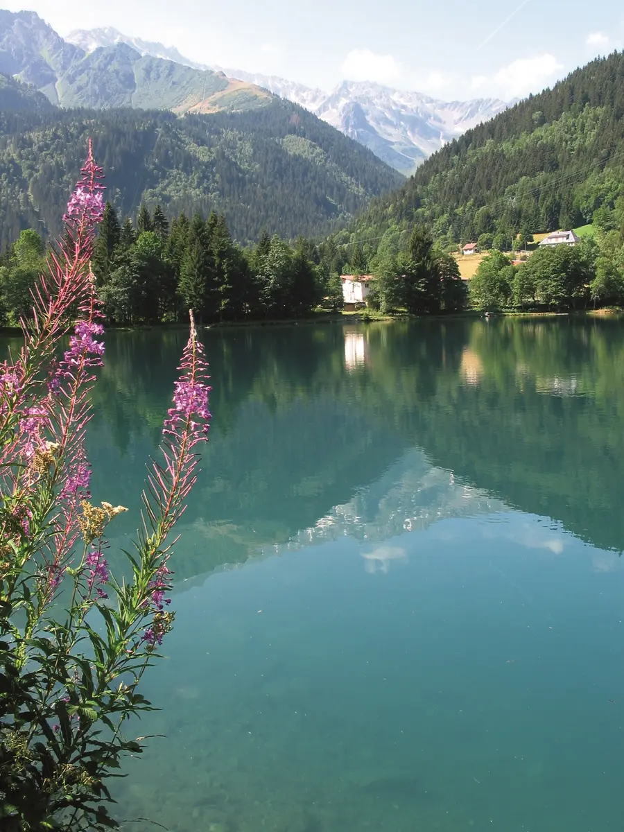 lac de Fond de France