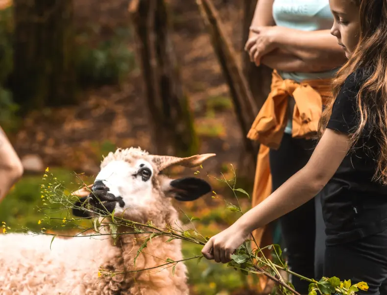 Ferme du Haut Chablais