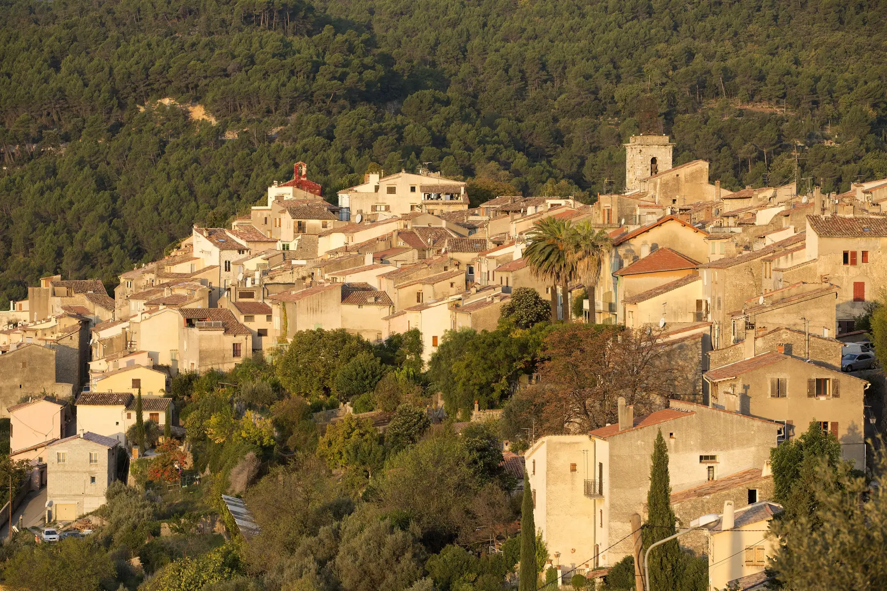 Le Cercle de la Fraternité