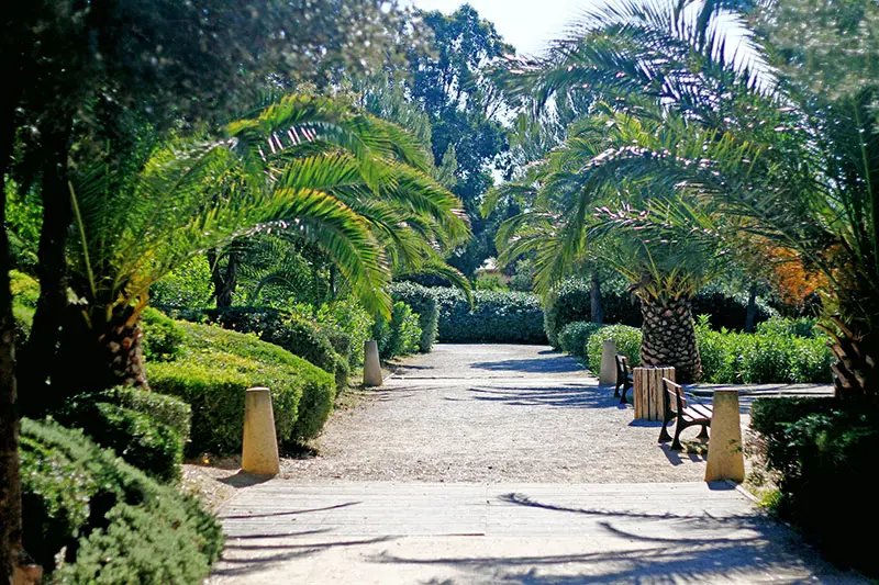 Parc areca