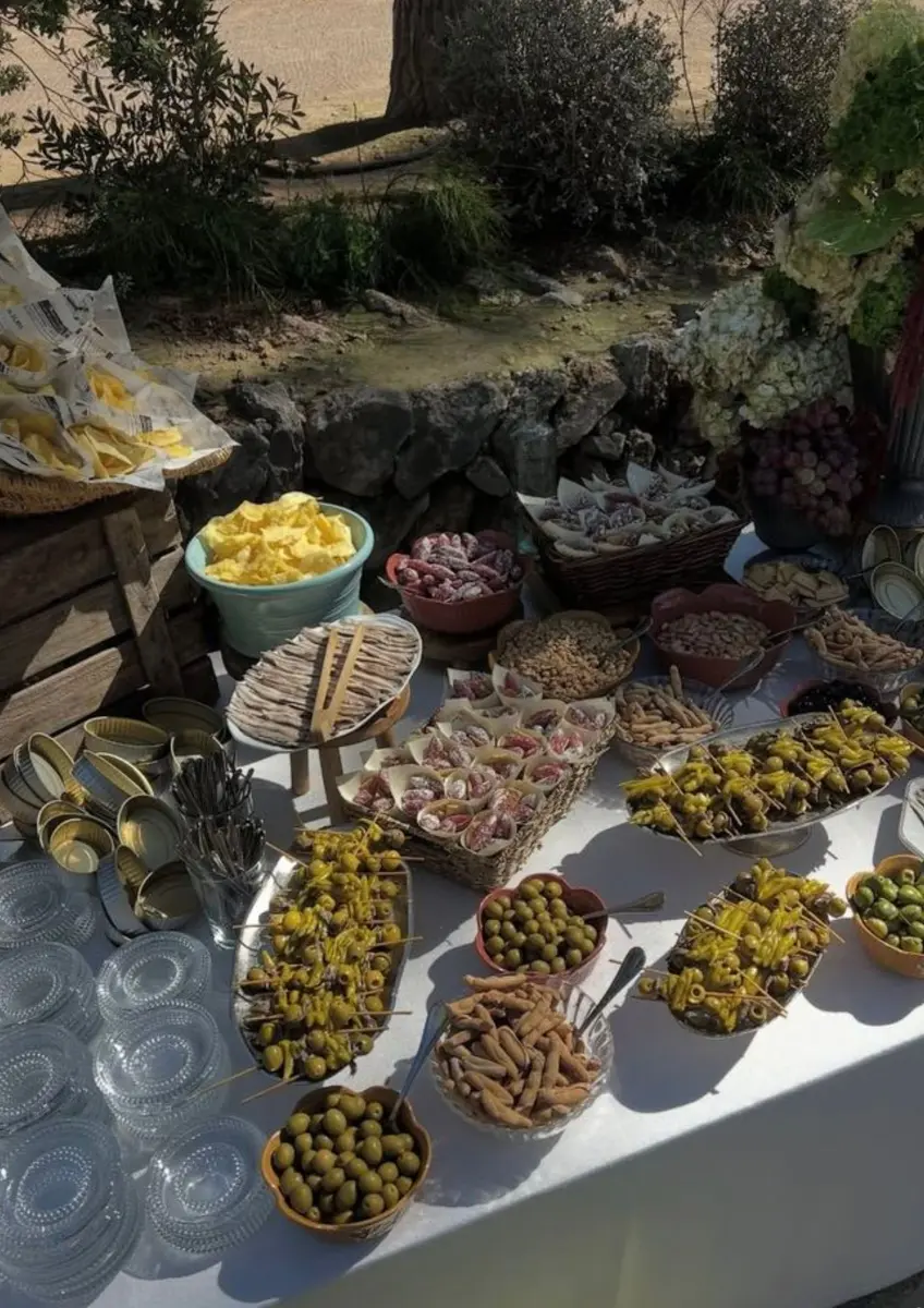 Visite des vignes et banquet dans les oliviers au Château la Valetanne