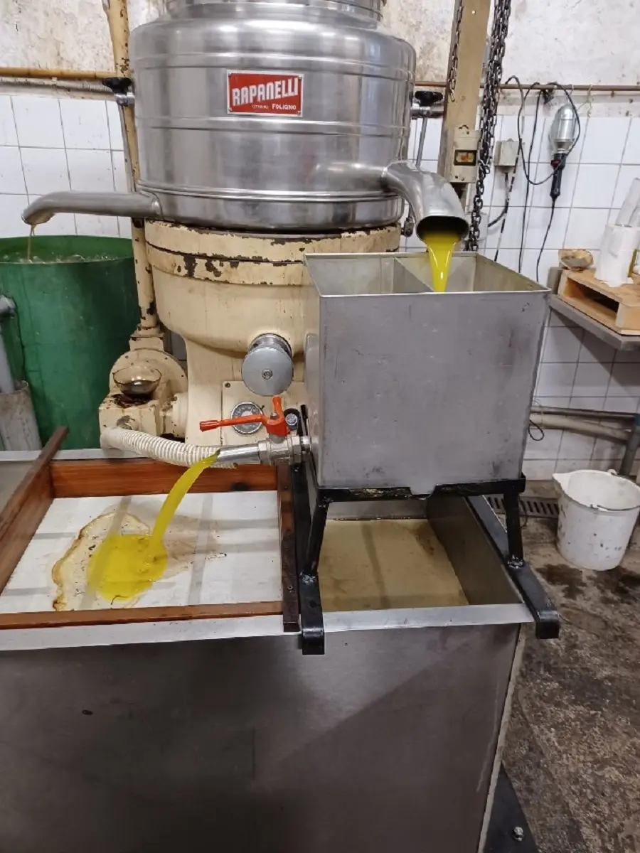 extraction de l'huile d'olive