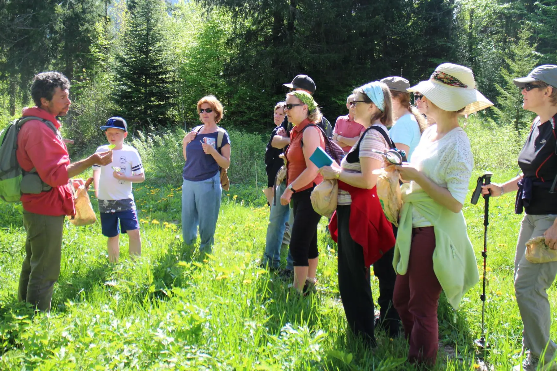 Découverte des plantes de montagne