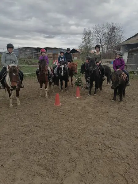 Chevaux