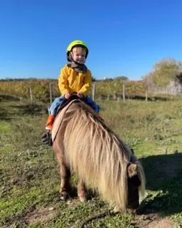 Balade à dos de poney, même pour les petits