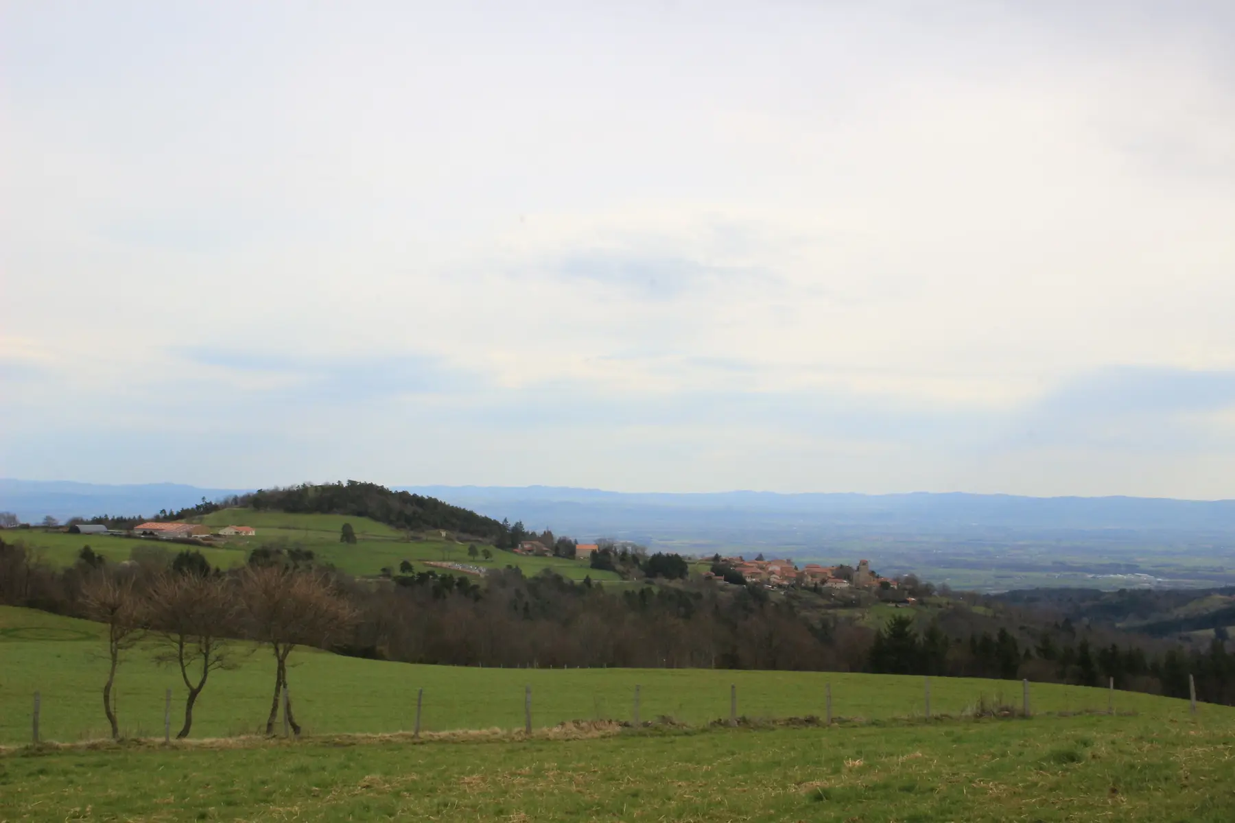 Vue sur le Pic de Bard et la Plaine du Forez