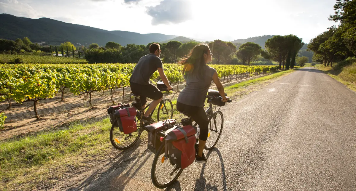 Vélo le long du vignoble