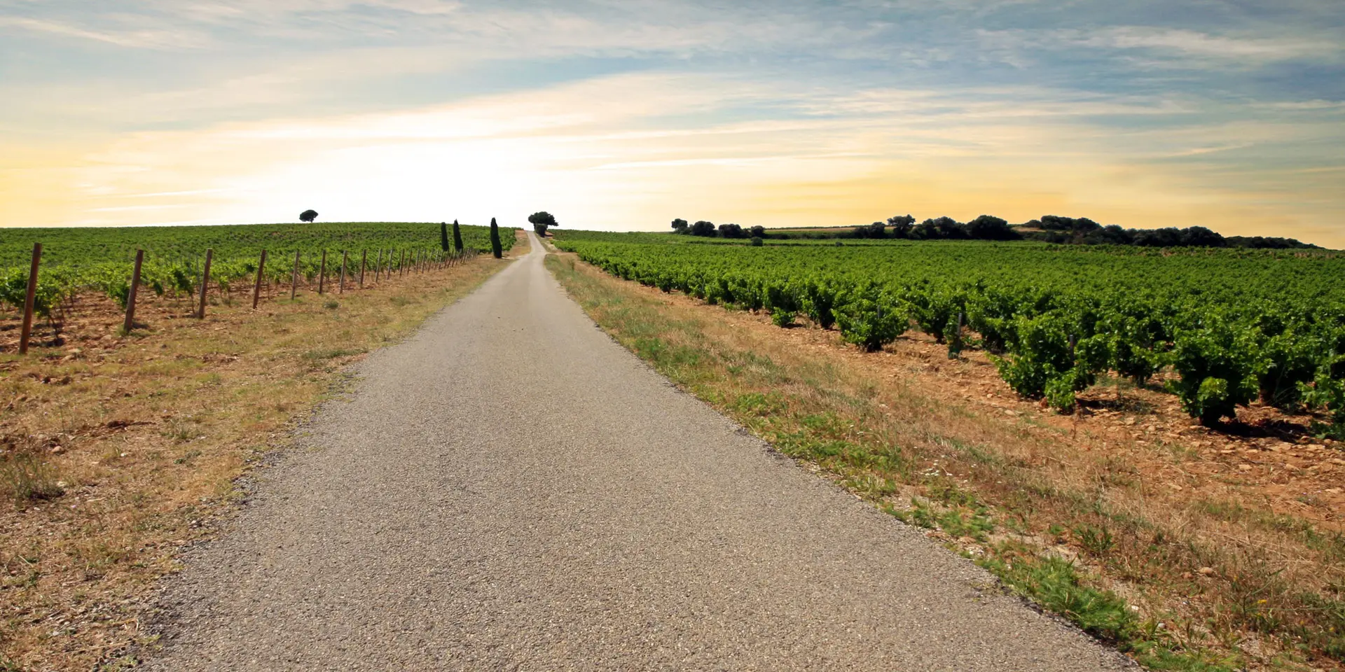 Route des Côtes du Rhône