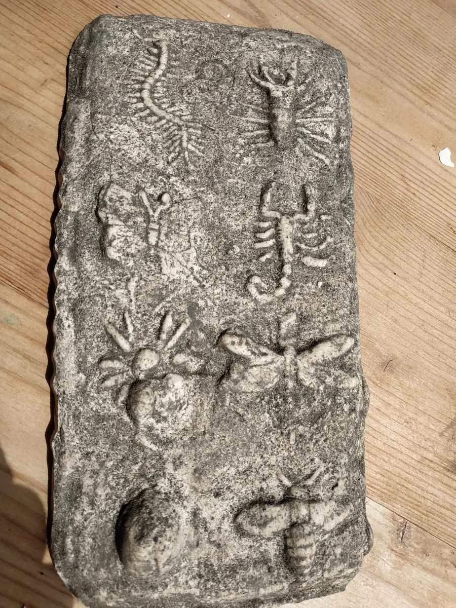 moulage petites bêtes