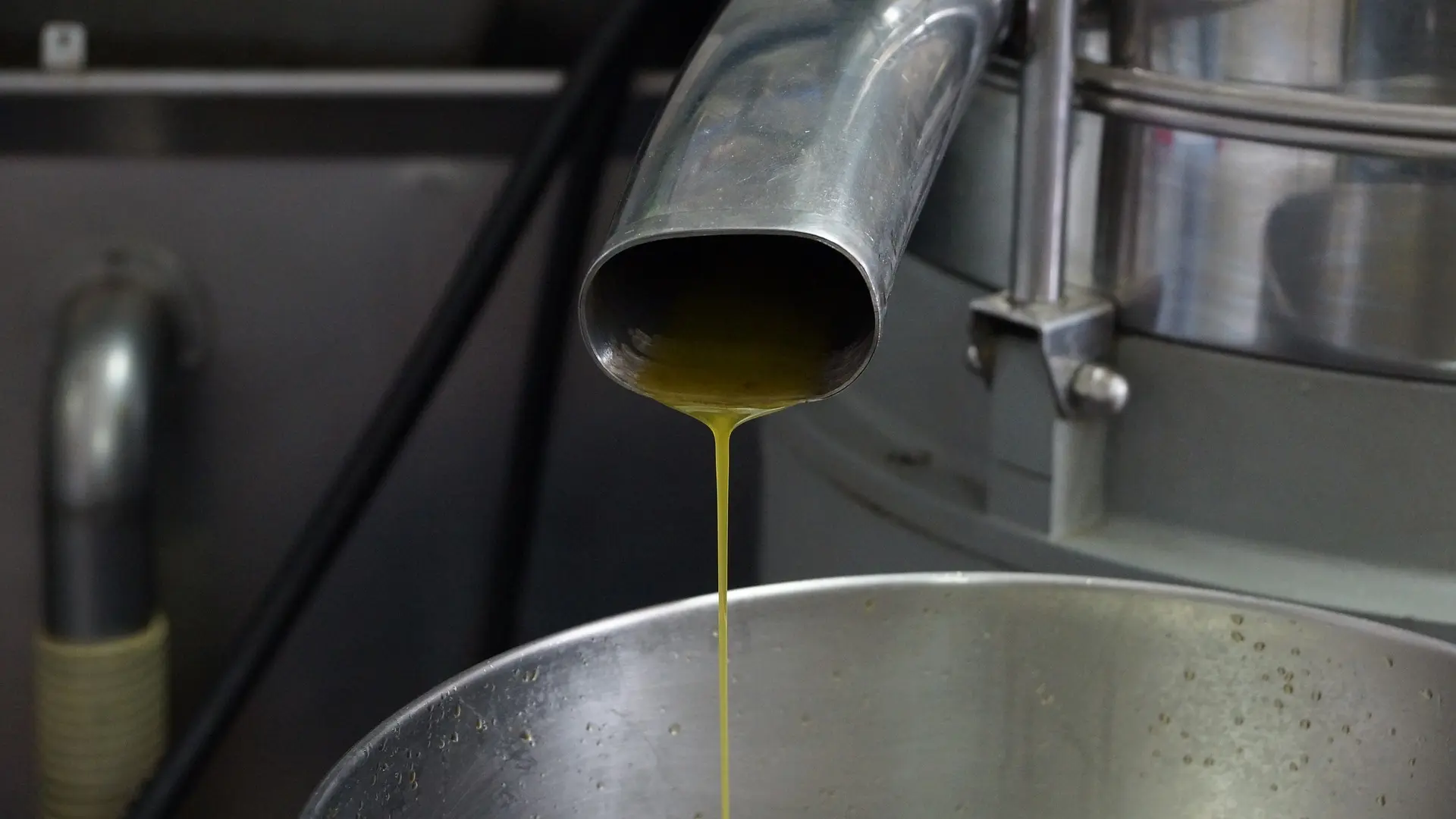 Huile d'olive