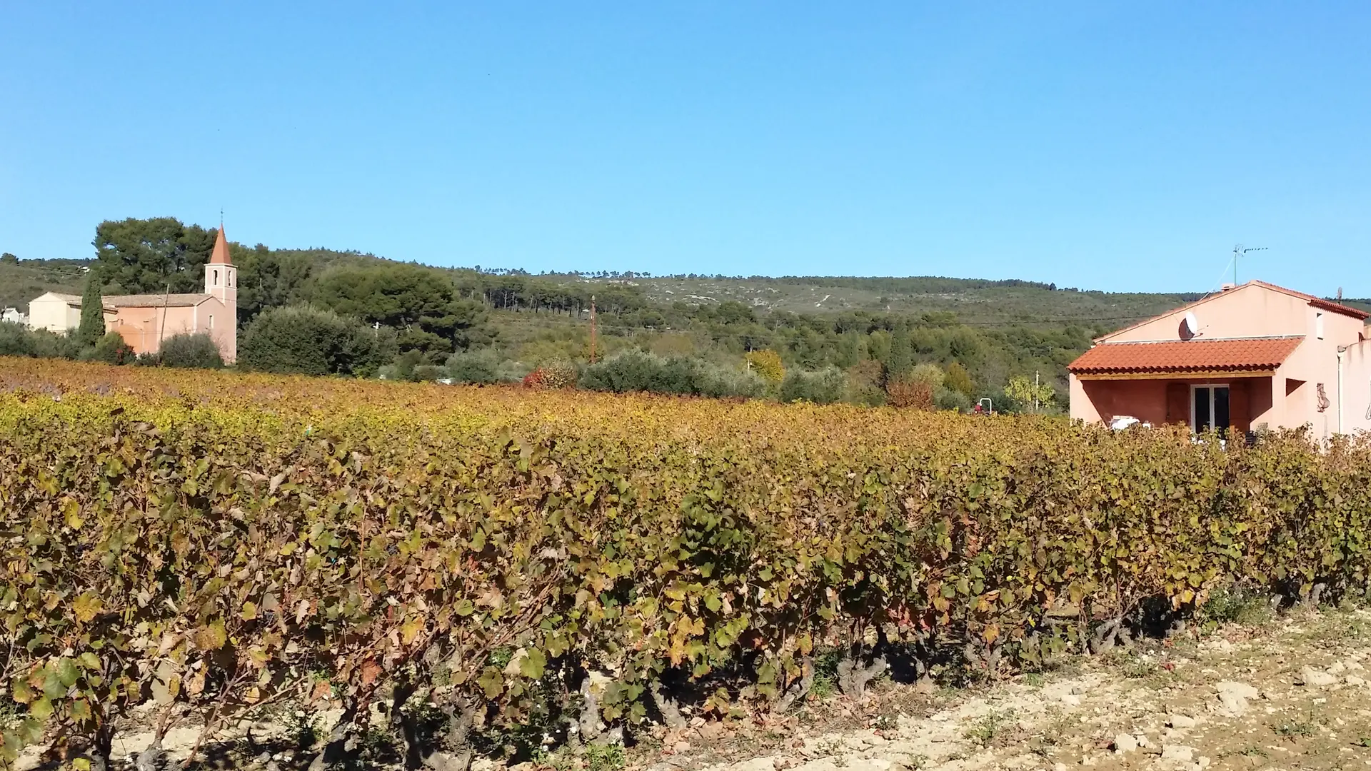 Le clos de la Pinède