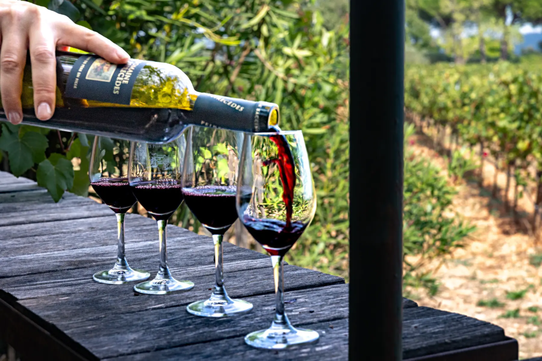 Expérience œnophile au Domaine de Peirecèdes à Cuers