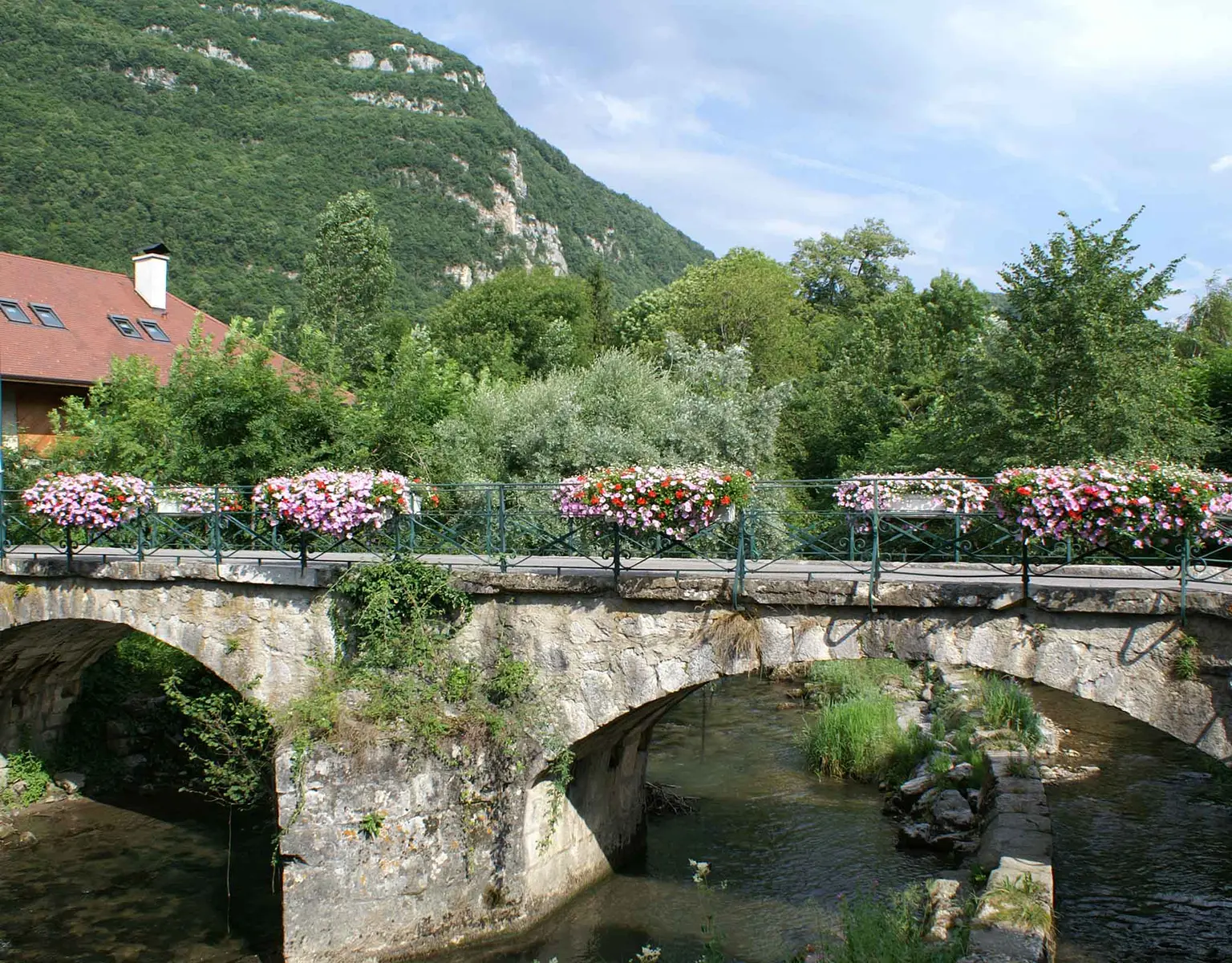 Vue du Pont de Verthier en été