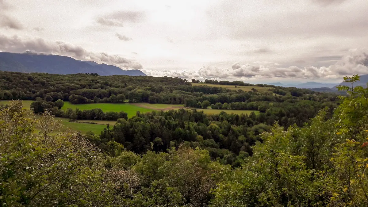 Randonnée à Songieu : Le bois du Geay