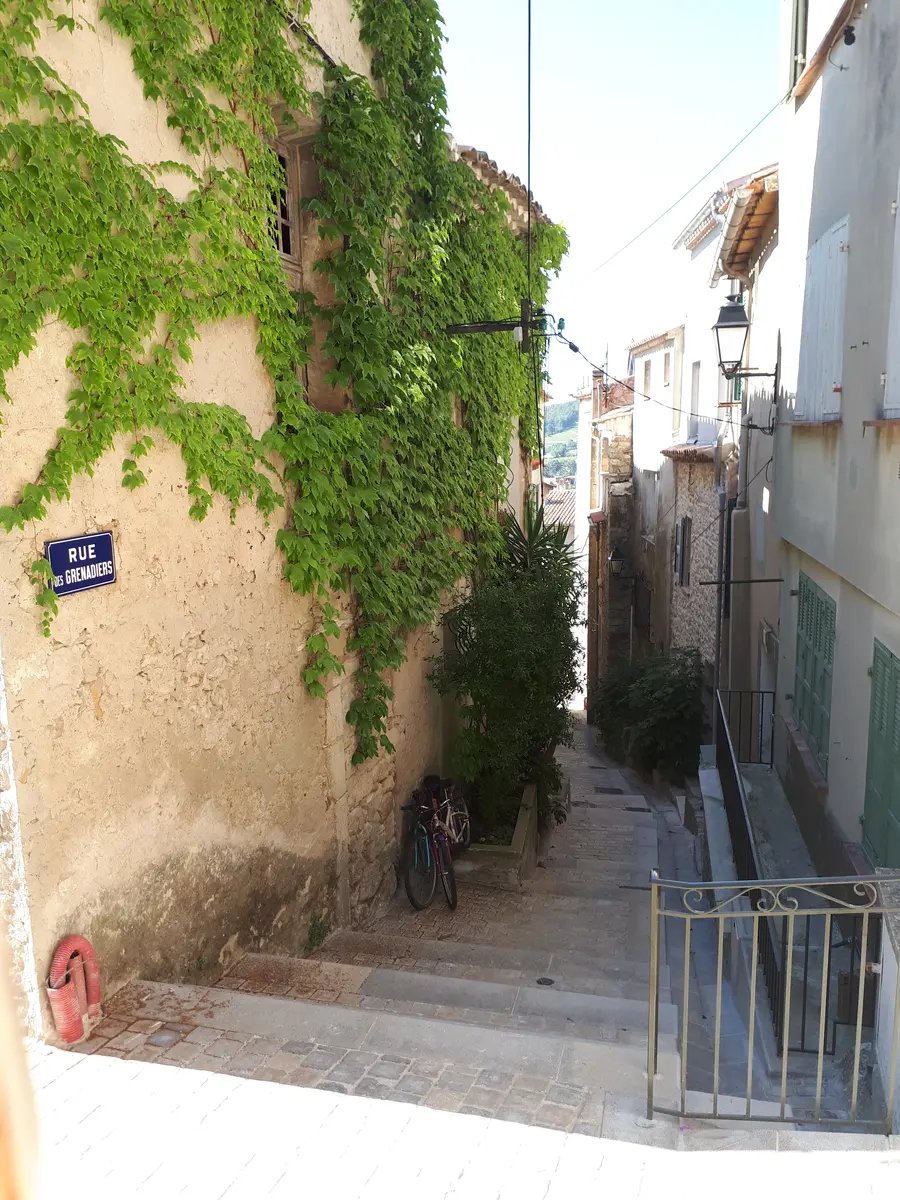 Pomegranate tree street