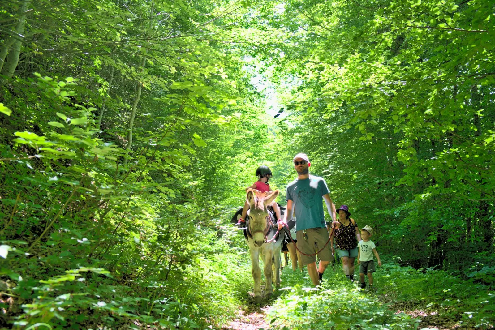 Rando âne et montagne avec Altimood