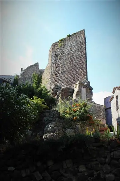 Ruines du château d'Evenos