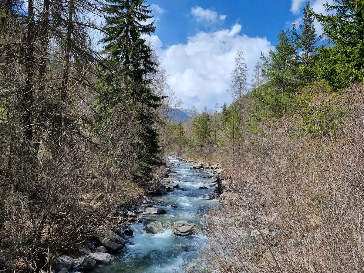 Pêche dans le Verdon