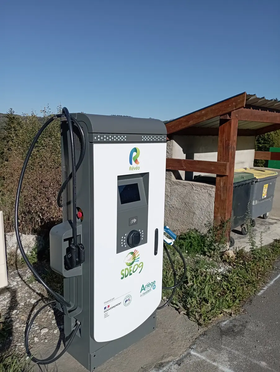 borne électrique