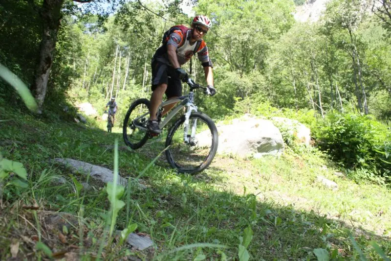VTT