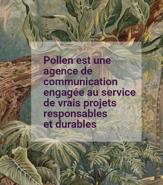 Agence Pollen Marseille