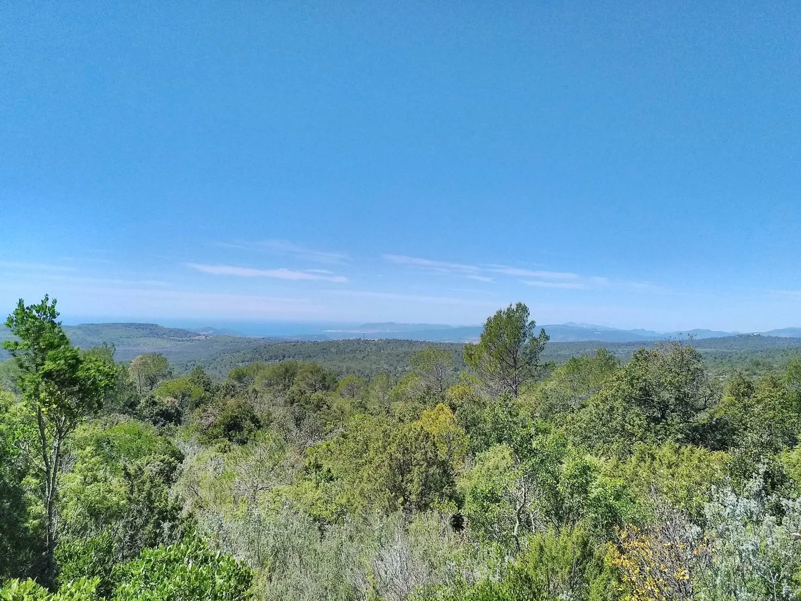 Panorama sur la végétation verdoyante et les collines environnantes