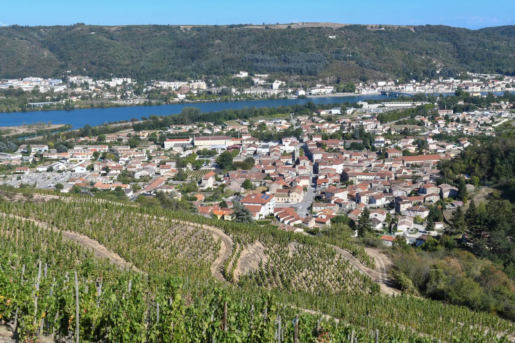 Les coteaux du Saint-Joseph_Sarras