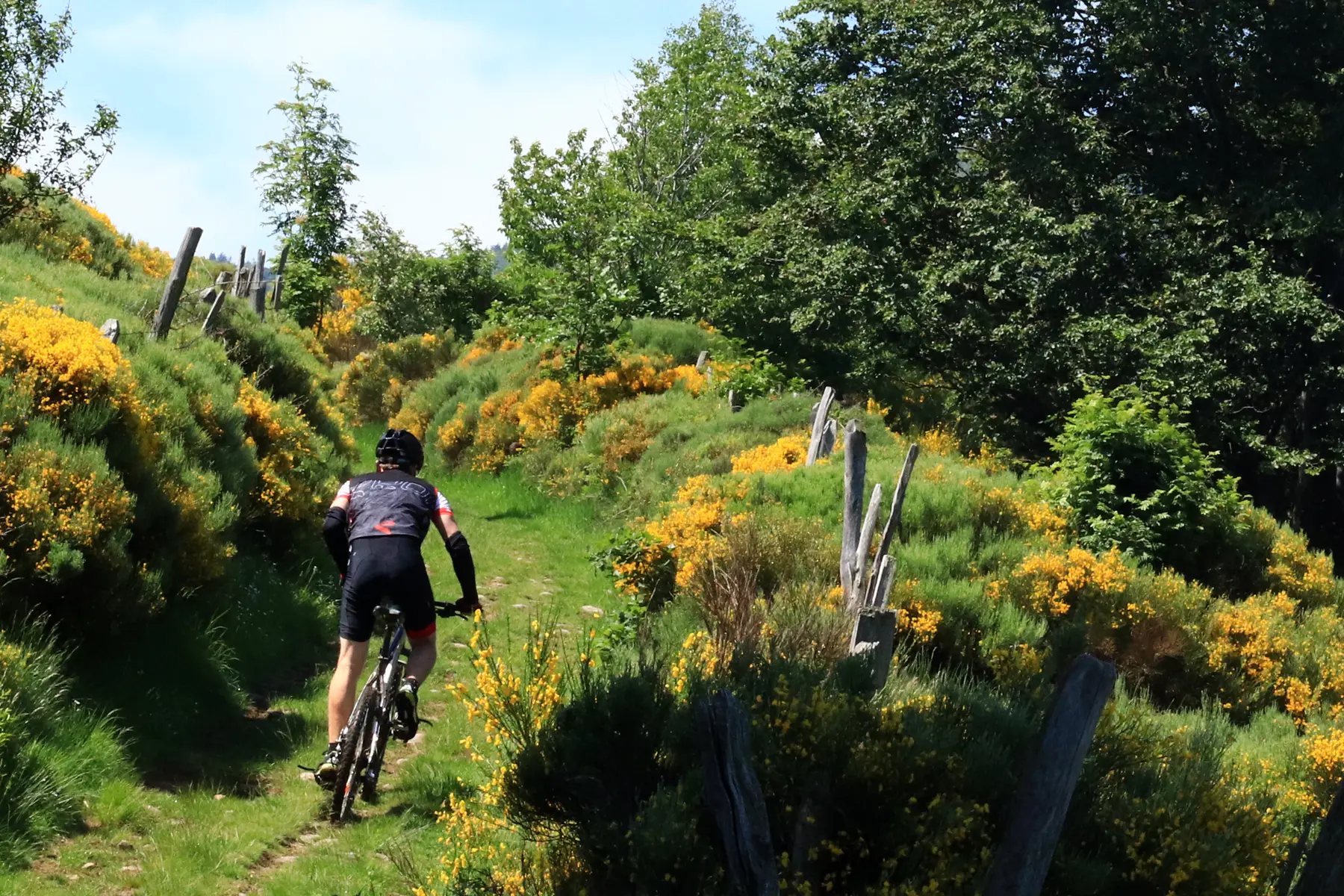 VTT dans le PIlat