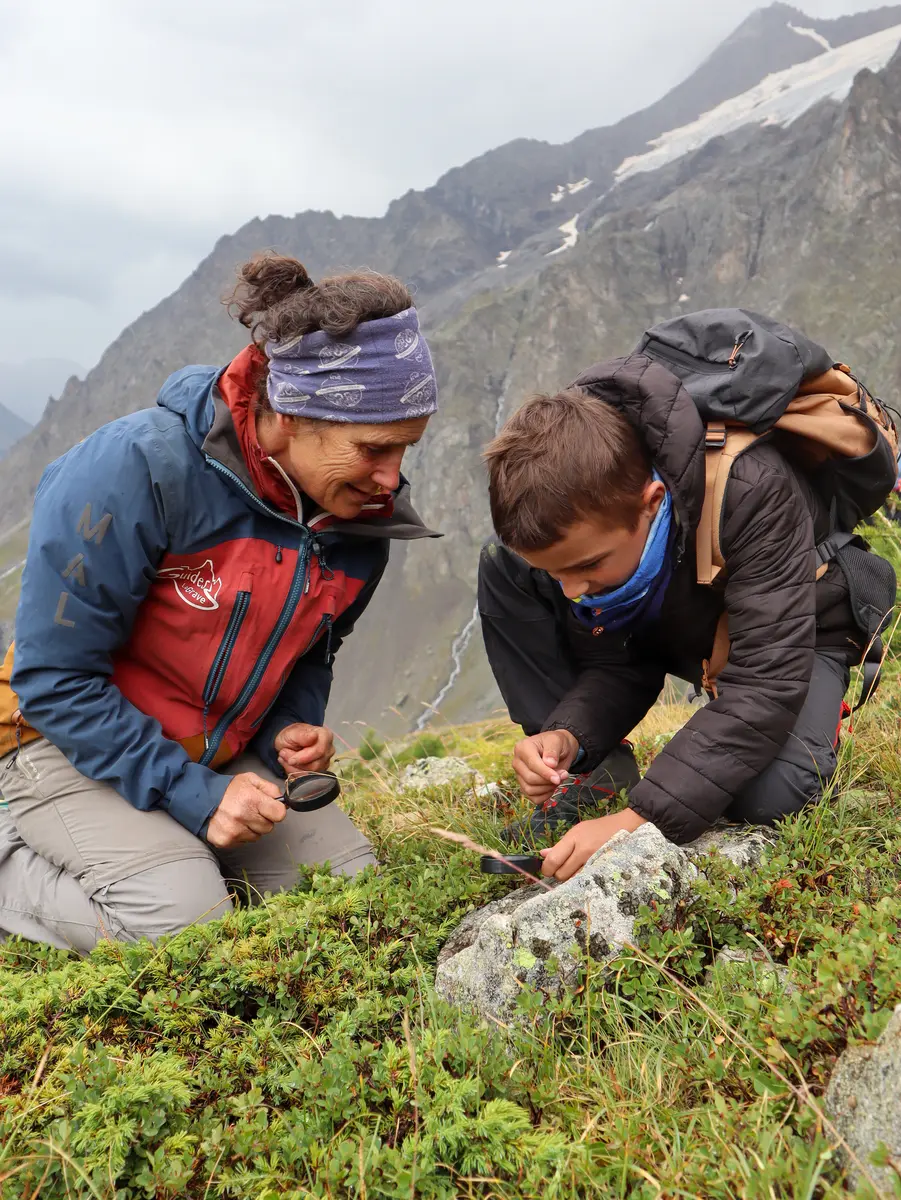 Découverte des plantes médicinales et comestibles