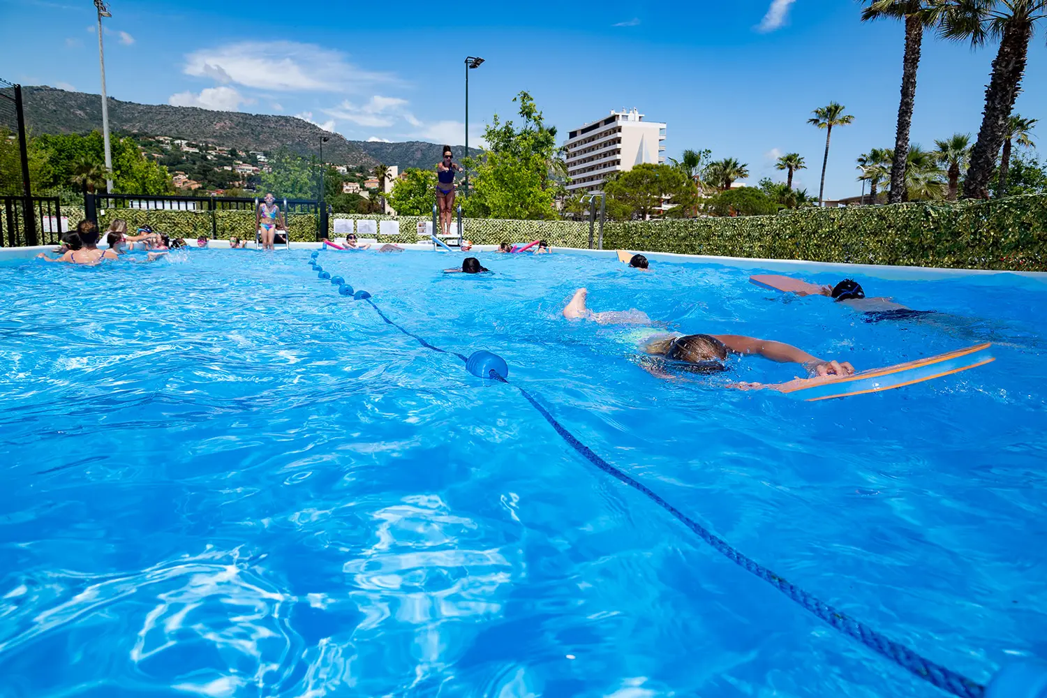 Les Petits Dauphins