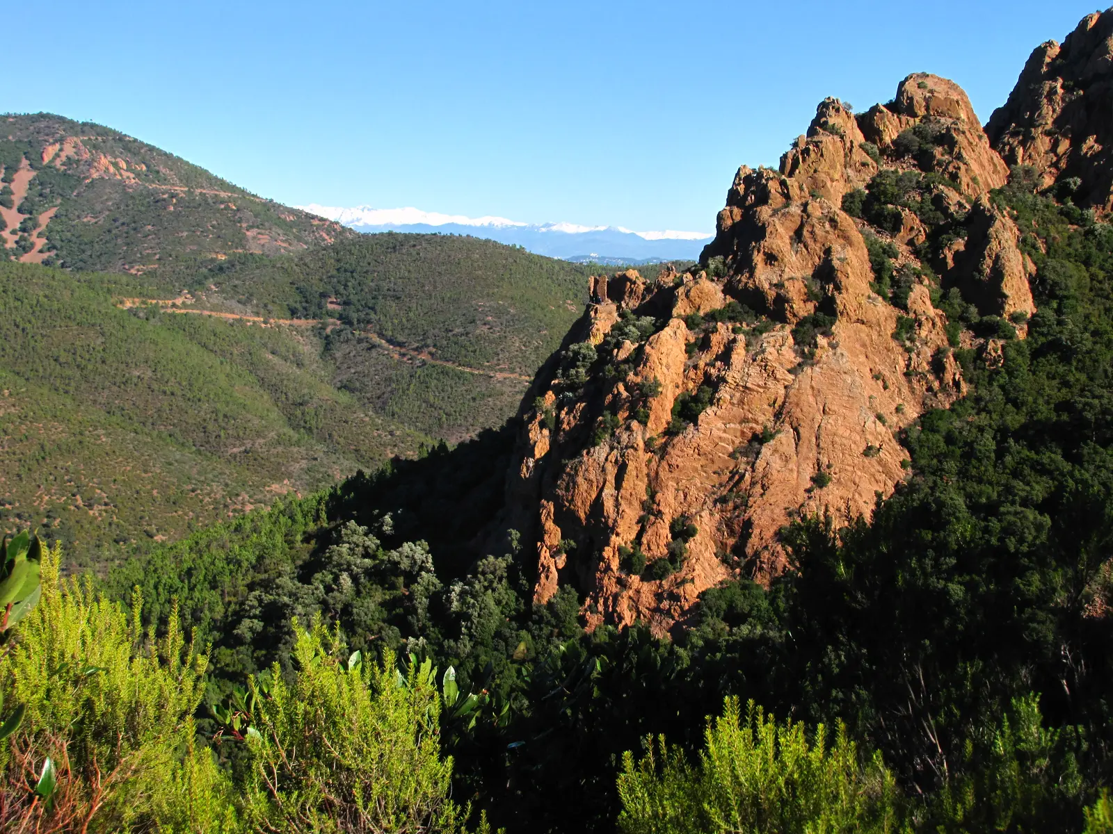 Massif Sainte Baume