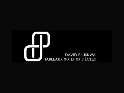 David Pluskwa