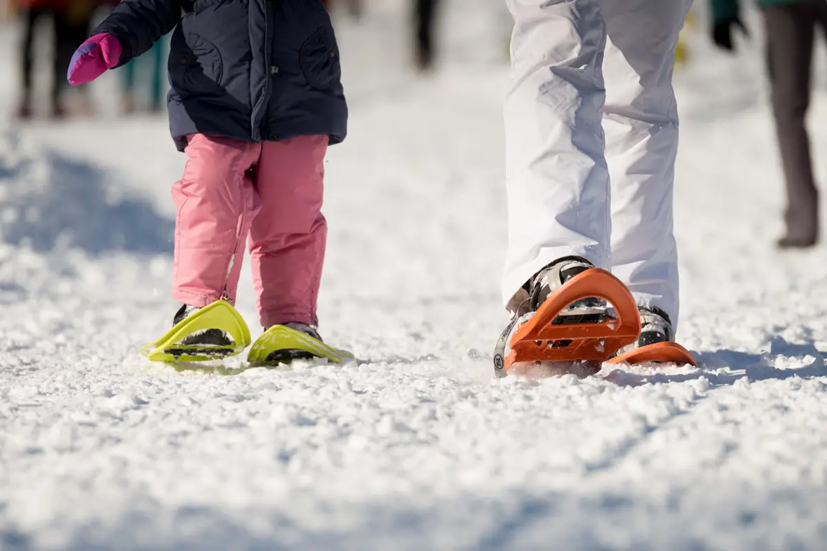 Raquettes à neige