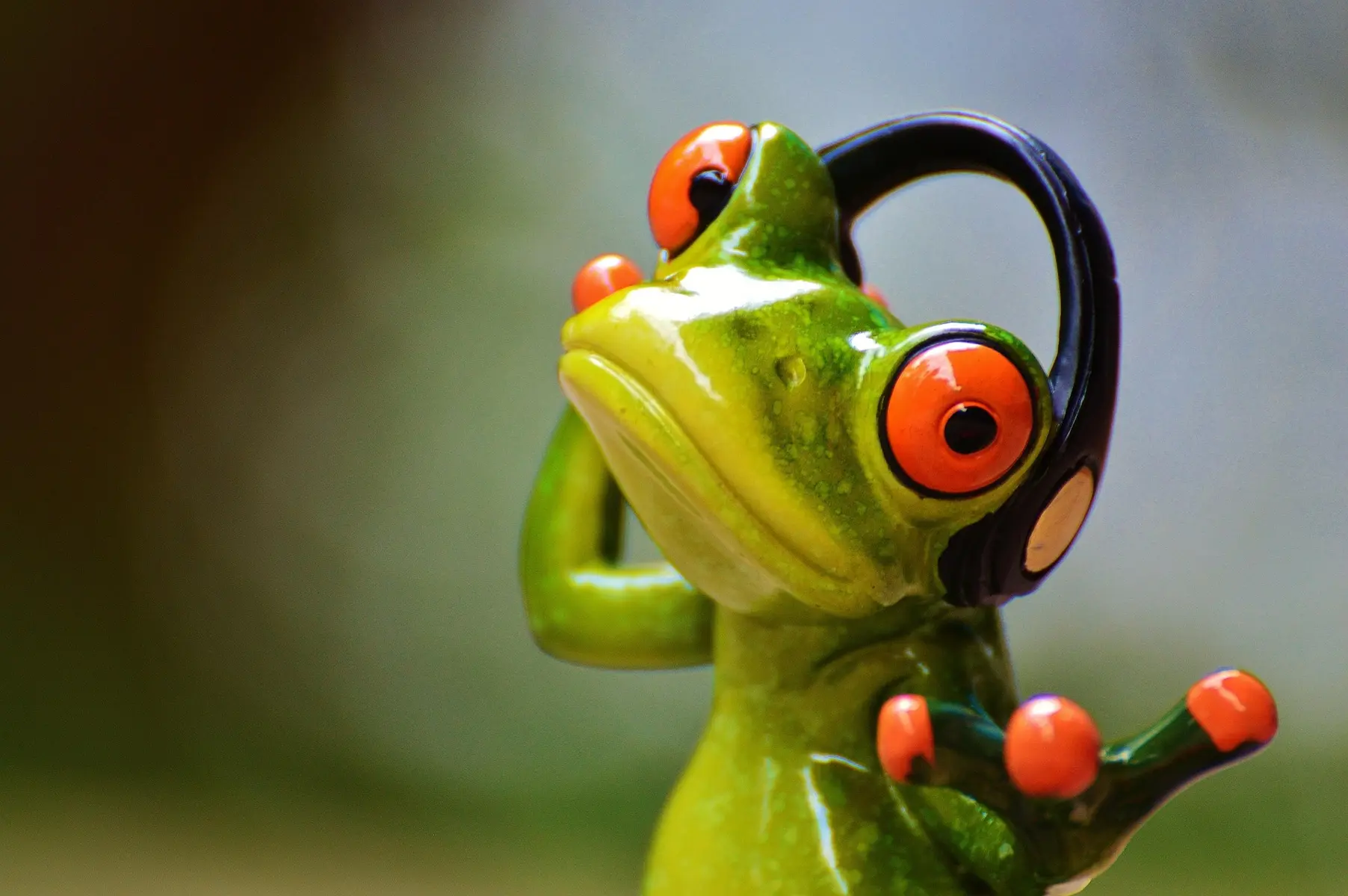 grenouille avec écouteur