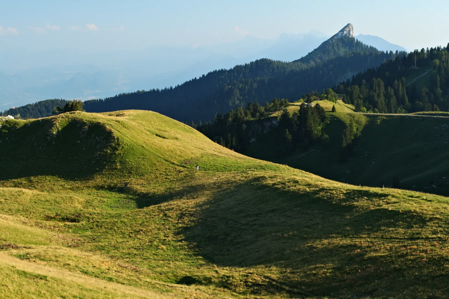 La Pinéa depuis les alpages du Charmant Som