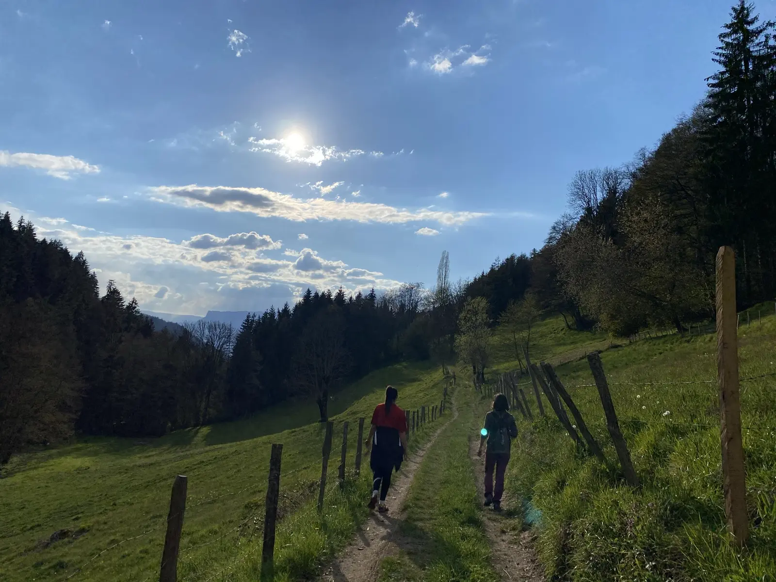 Un chemin sur le parcours
