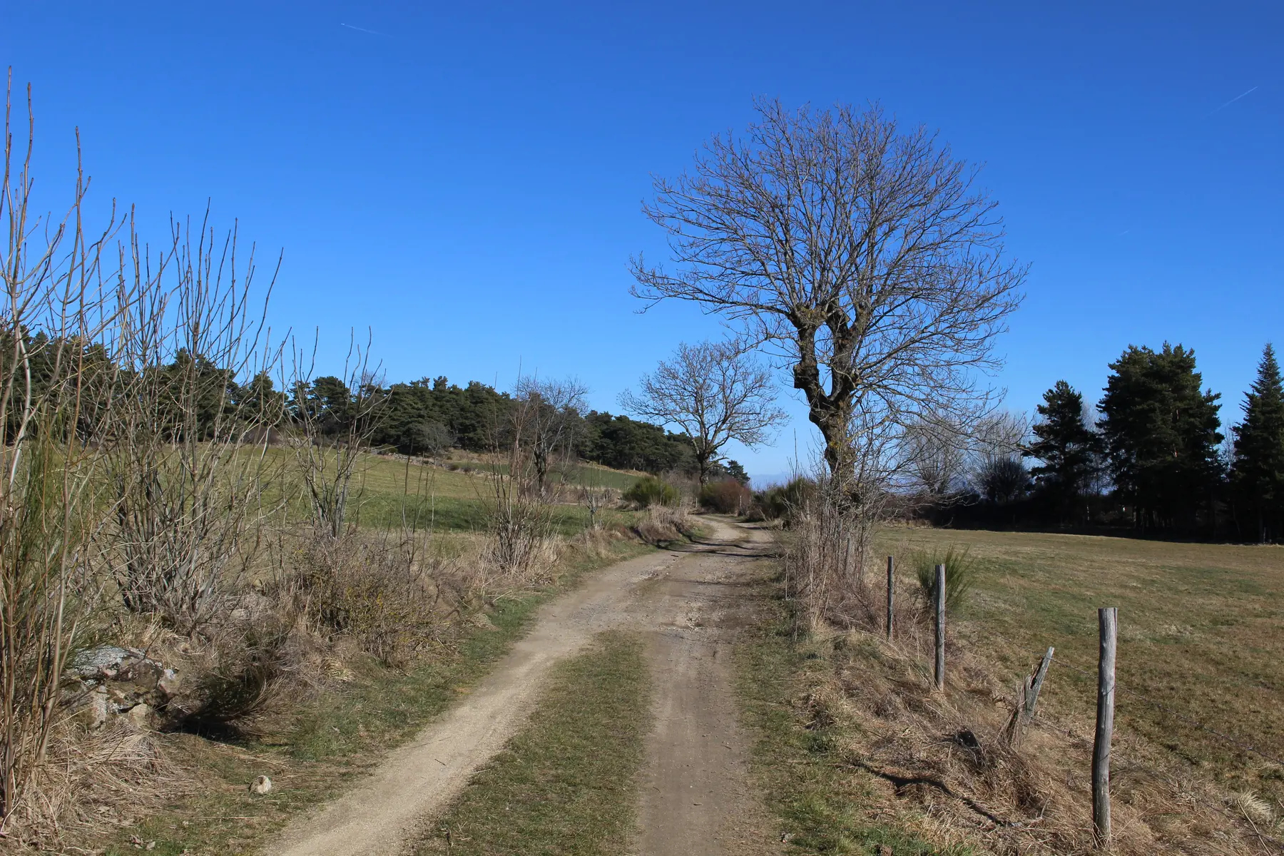 Randonnée à Lérigneux
