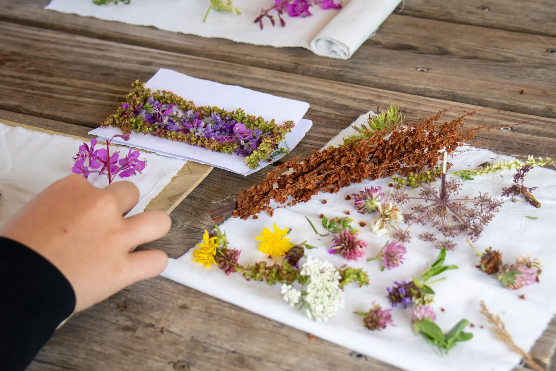 Atelier landart